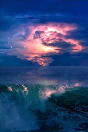 六零木牌通现代，村妇捡菜发财忙知乎