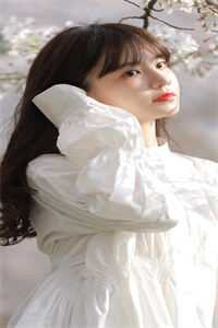 晚风吻过港城月后续+完结