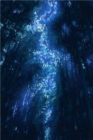 绝字入归鸟好看的小说推荐完结