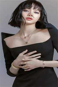 楼台高悬映月的小说