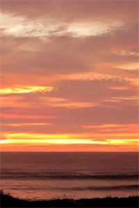 与老板相亲之后，好日子到头了结局+番外