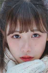 甩掉的京圈太子爷，他又缠上来了小说结局