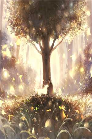 初晓将不见夜深优质全文阅读