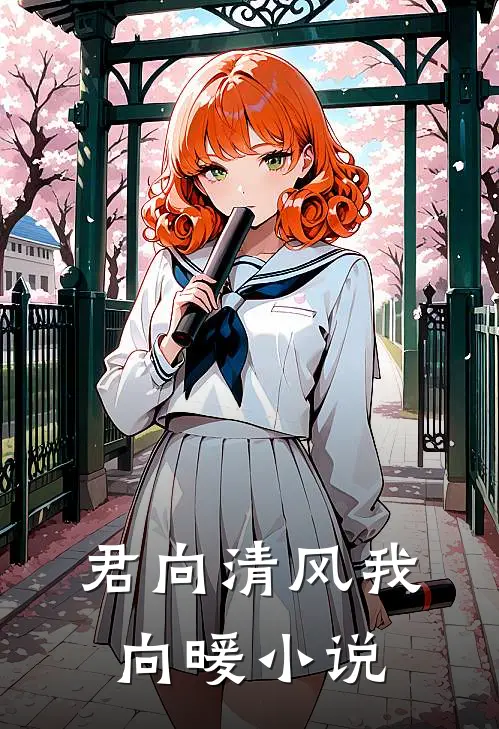 君向清风我向暖小说
