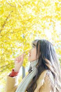 与老板相亲之后，好日子到头了最新