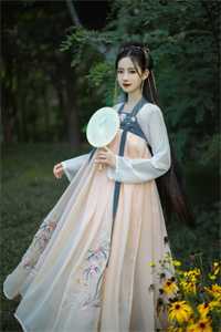 女儿照顾了我十年，我把财产给了儿子小说大结局