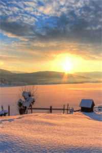 冬夜散余温必读文