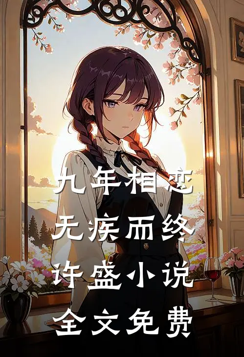 九年相恋,无疾而终许盛全文免费阅读