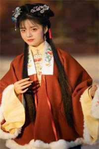 女儿拒绝回家过年，我选择了生二胎完整作品