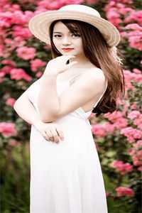 星若旧梦，爱恨皆成空完整文集阅读