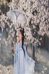 小乖撩又甜，陆叔叔上瘾宠翻天完结+番外