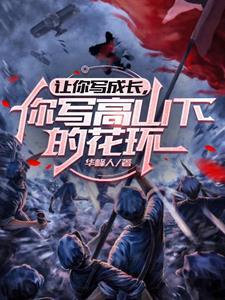 许我深情，落花成空的小说