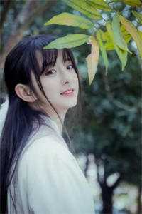 一夜风吹絮异常火爆