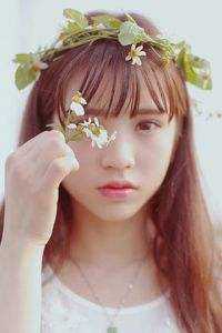 雁北回南爱未归在线阅读