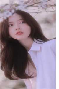 月色沉眠旧梦里后续