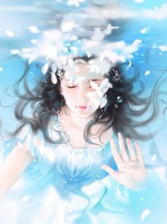 冬雪飘零，情散暮归处小说在线阅读免费