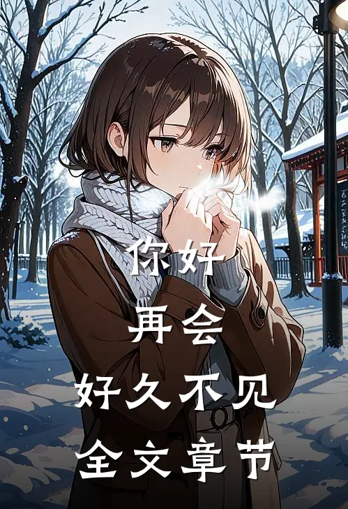 你好,再会,好久不见全文章节概括