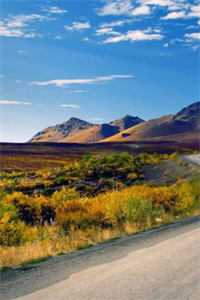 丁克五年，老婆为男闺蜜怀孕小说免费阅读