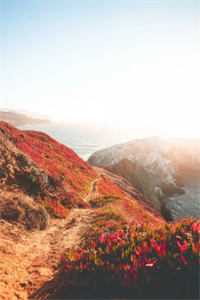 我的夫君和儿子都是超雄皇帝番外+无删减