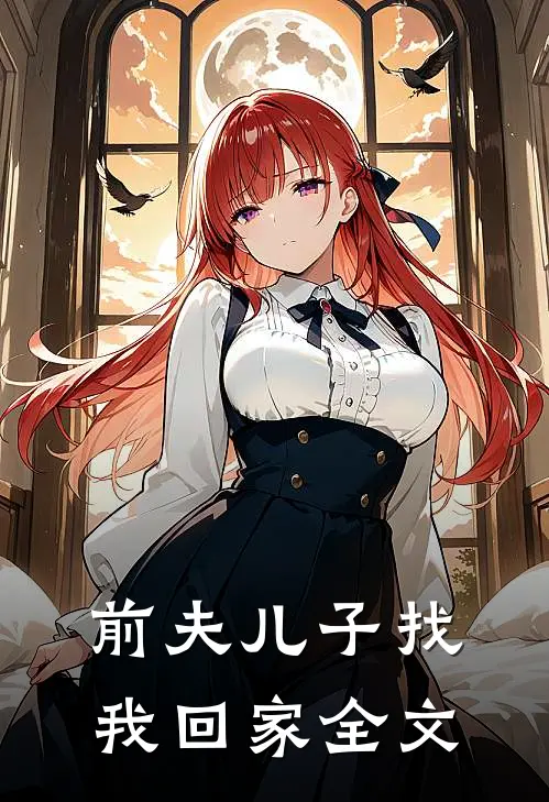前夫儿子找我回家全文