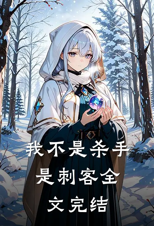 我不是杀手,是刺客全文完结