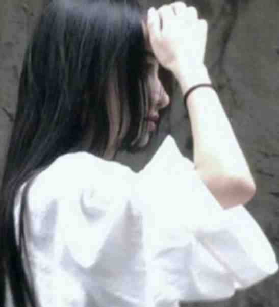 杨过：这次，换我来守护桃花岛精品篇