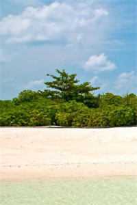 闺蜜被虐待后，我直接借地府贷成为豪门老太君顾十安沈栀全局