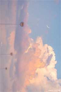 锦笼囚爆火全网