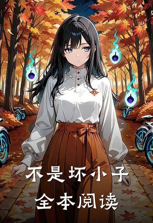 不是坏小子全本阅读