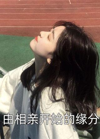 雁北回南爱未归已完结