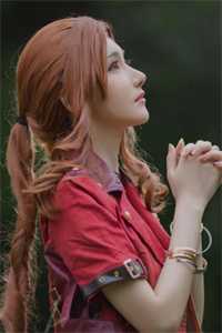 她寄人间满星河晏随辛蕴大结局