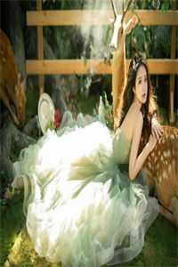 妈妈的账单全文免费阅读