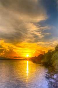 爱长存，情永驻完整文集阅读