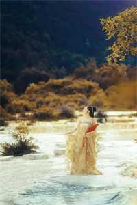 学乖消失后，哥哥求我重新出现苏晚晴苏星禾全文