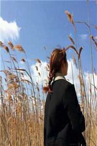 前尘旧事镜中花，半生聊寄兰时景最新章节