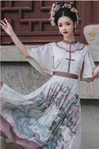 风起时，花落无声免费阅读