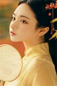 曾许星辰映白头温时宜时宜无删减全文