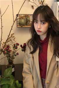 与老板相亲之后，好日子到头了小说