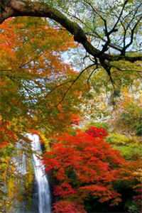 我理发被当成杀人凶手，遭舅妈索赔500万免费