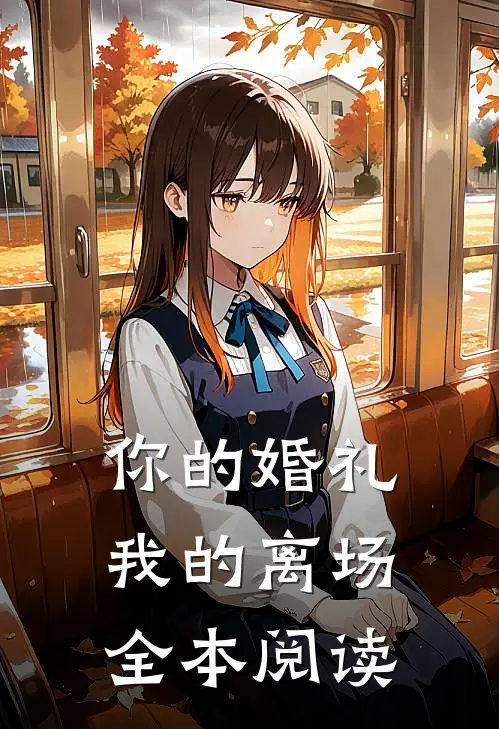 你的婚礼,我的离场全本阅读