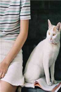 导航出卖老婆的二次爱情异常火爆