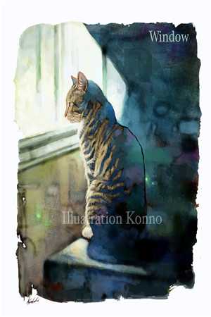 随星，随月，随清风小说结局