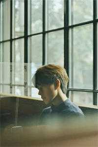 寄宿在姑姑家被网暴后，我杀疯了畅销巨著