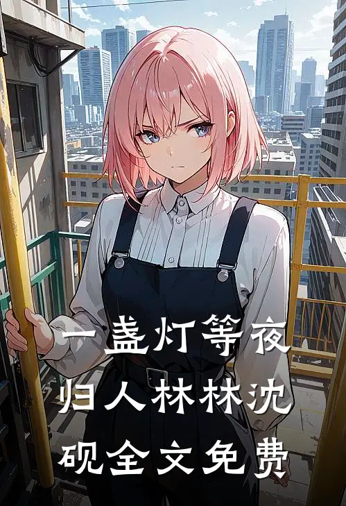 一盏灯等夜归人林林沈砚全文免费