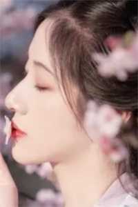 公公被车撞死，老公却替肇事女司机脱罪阅读