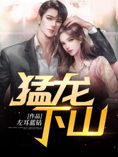 十年爱意尽小说免费阅读