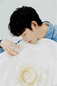 南风未起，念你成疾全文+后续