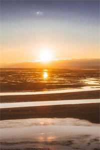 月色沉眠旧梦里的小说