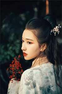 我死后皇帝一夜白头全集