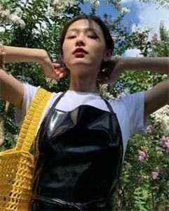 此后春雪不相逢良心推荐